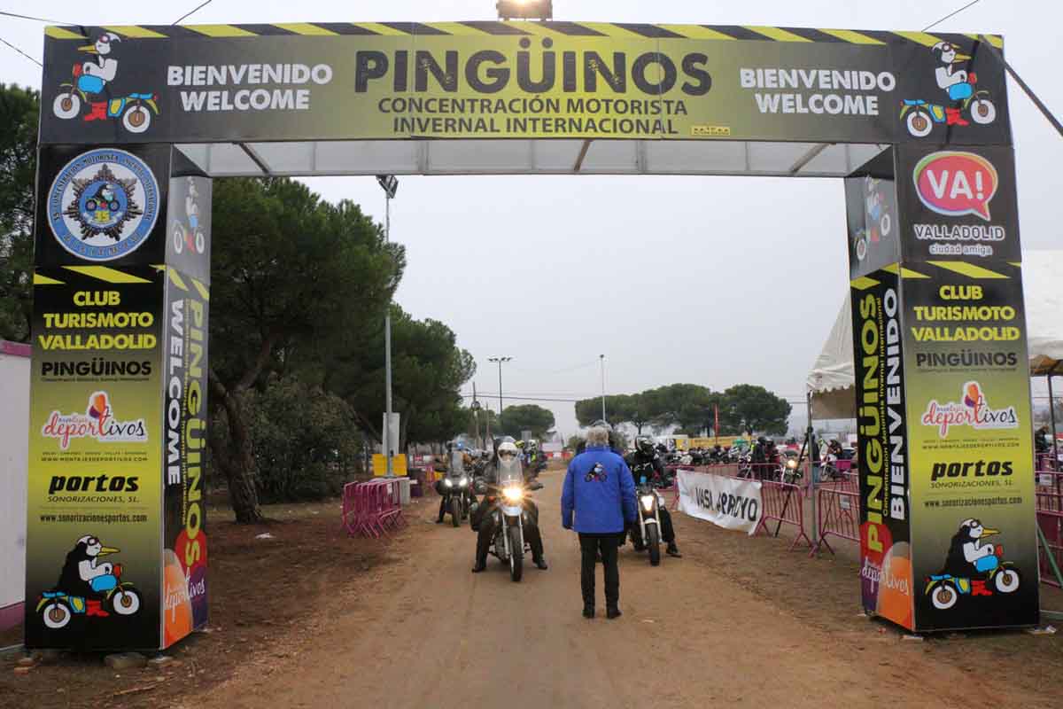 Pingüinos – 35.ª Edição