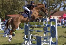 Jogos Equestres Nacionais: SALTOS DE OBSTÁCULOS – Fotogaleria