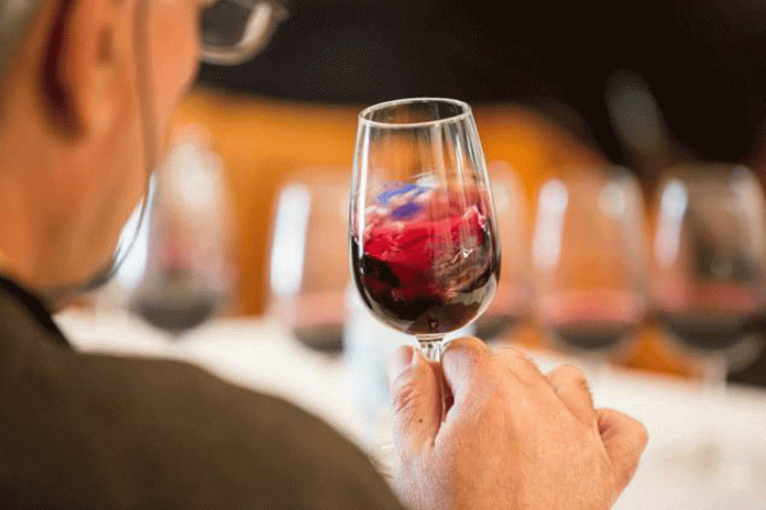 Setúbal Wine & Flavours