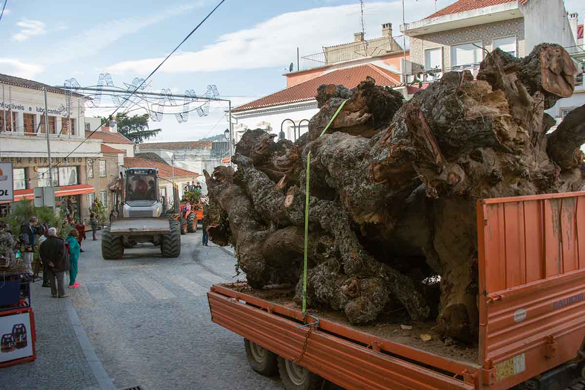 PENAMACOR a “VILA MADEIRO” VOLTA A FAZER RENASCER A TRADIÇÃO