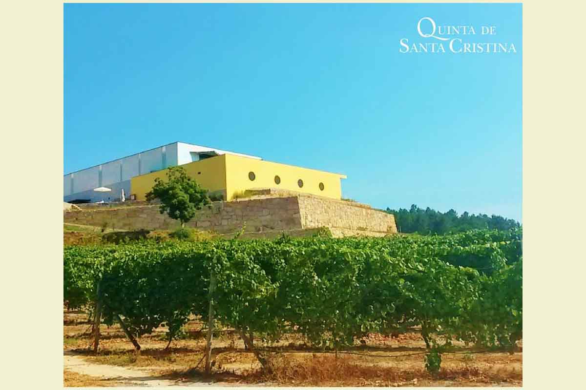 Valentine ́s Wine tour na Quinta de Santa Cristina