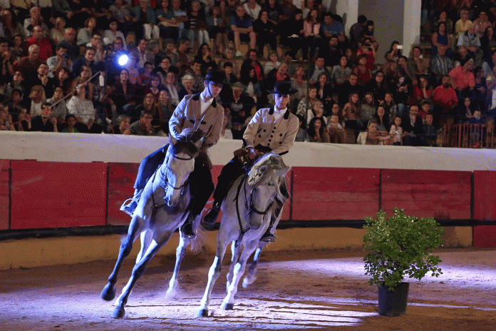 Escola Equestre Vitor Rodrigues