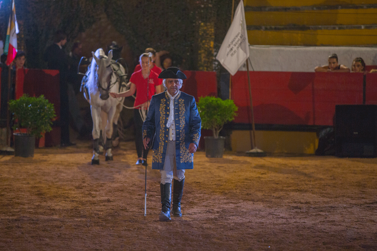 Escola Equestre Vitor Rodrigues