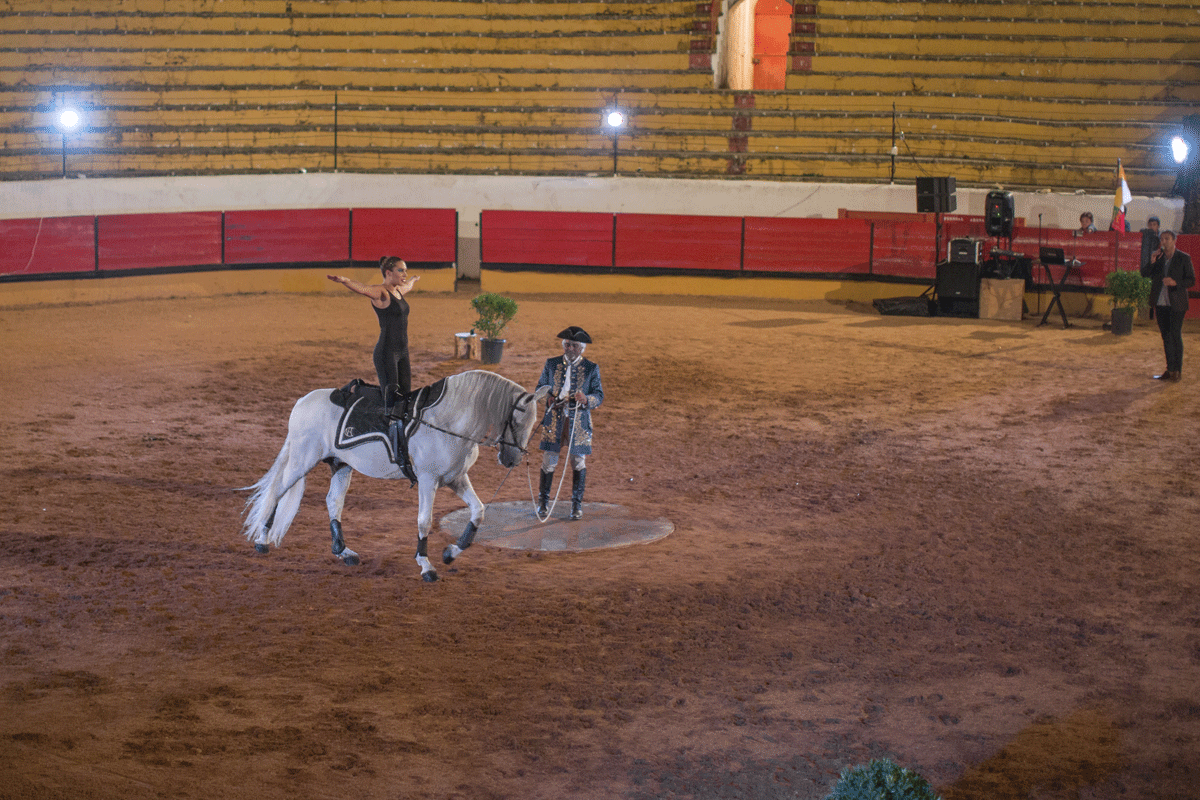 Escola Equestre Vitor Rodrigues