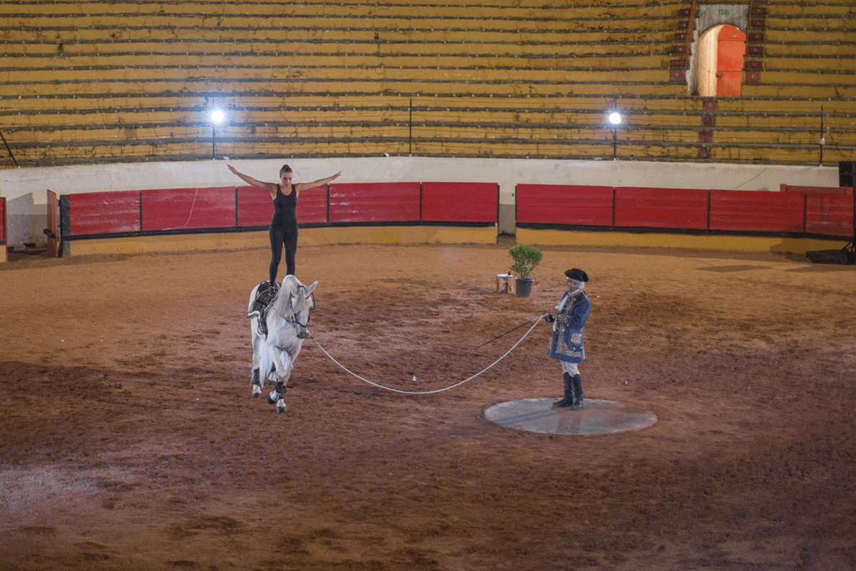 Escola Equestre Vitor Rodrigues