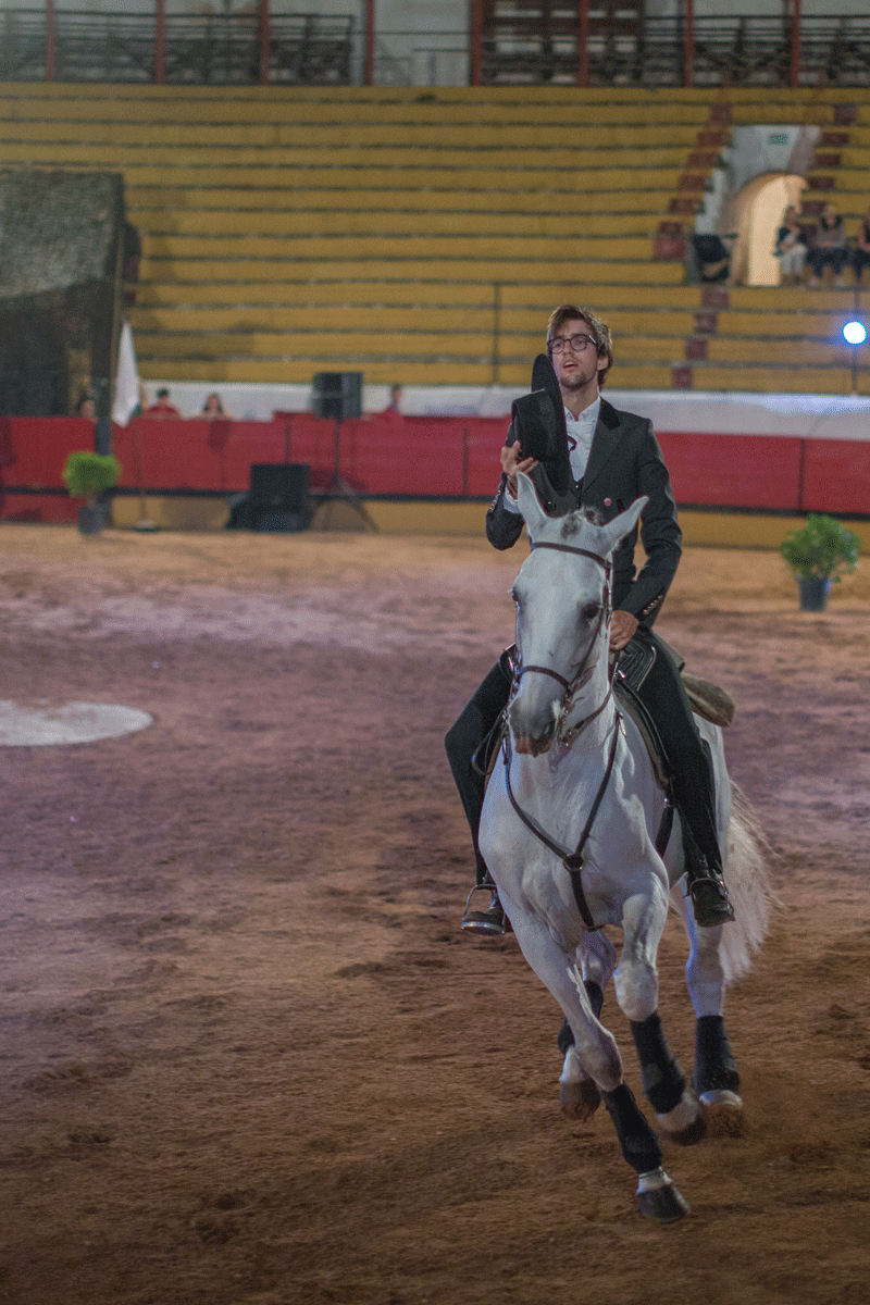 Escola Equestre Vitor Rodrigues