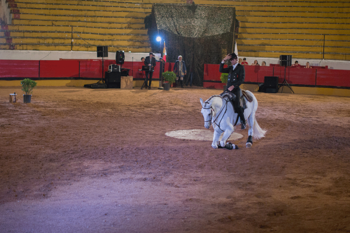 Escola Equestre Vitor Rodrigues