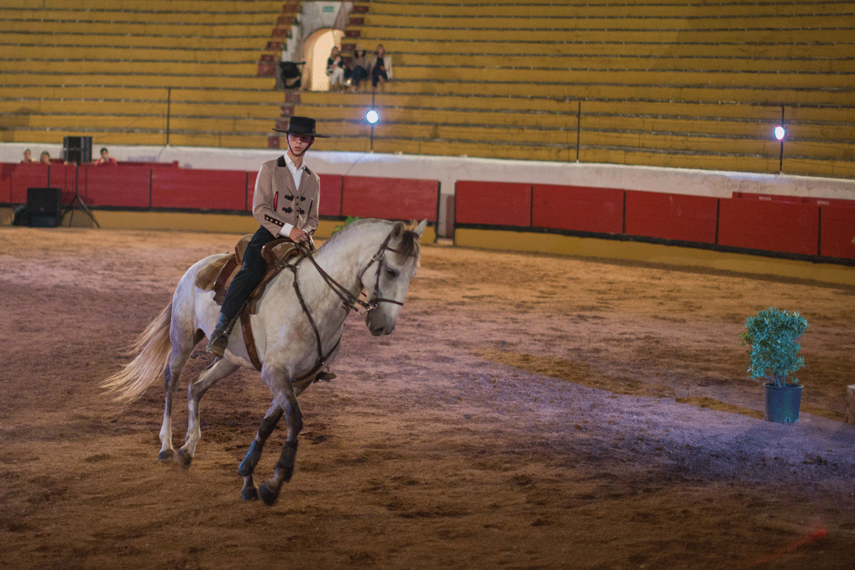Escola Equestre Vitor Rodrigues