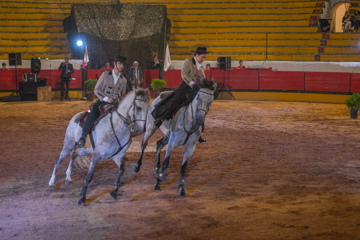 Escola Equestre Vitor Rodrigues