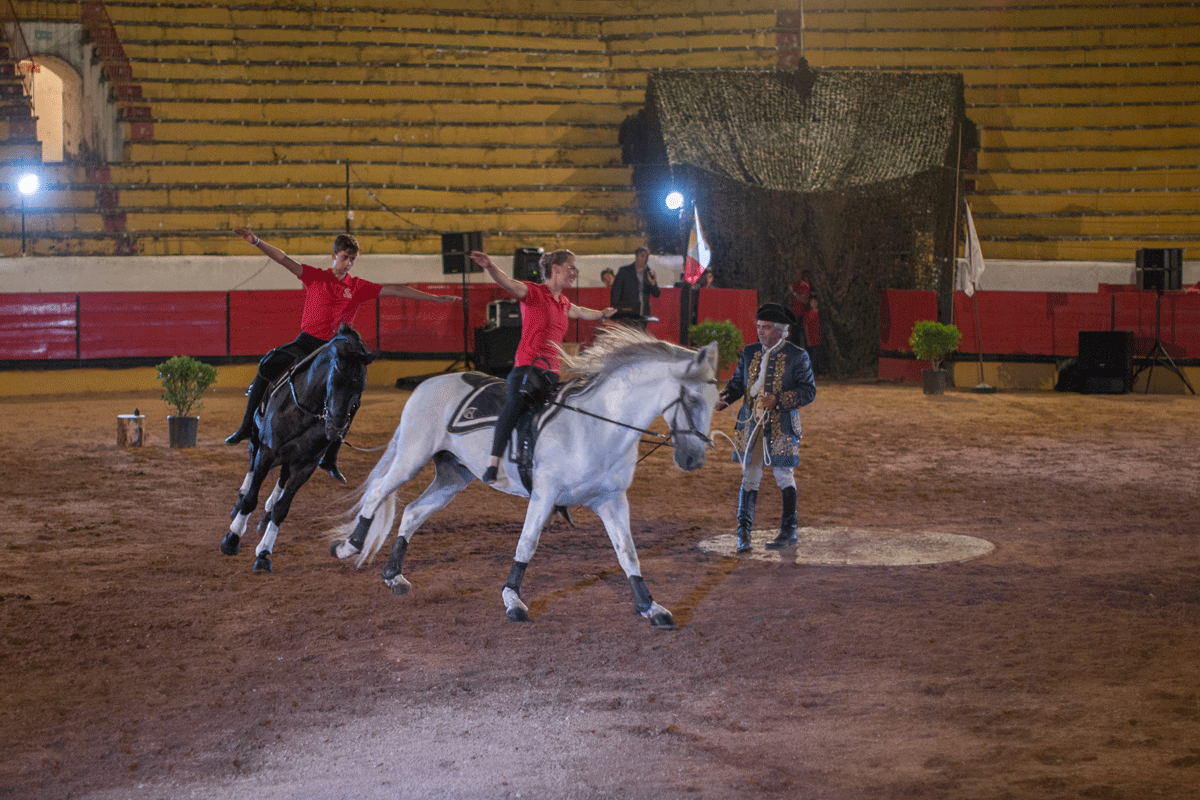 Escola Equestre Vitor Rodrigues