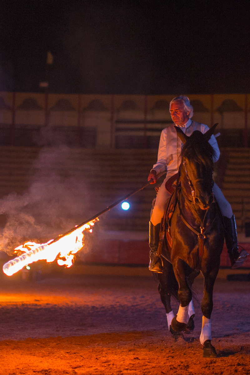 4ª Gala Equestre - ©Aldrabiscas
