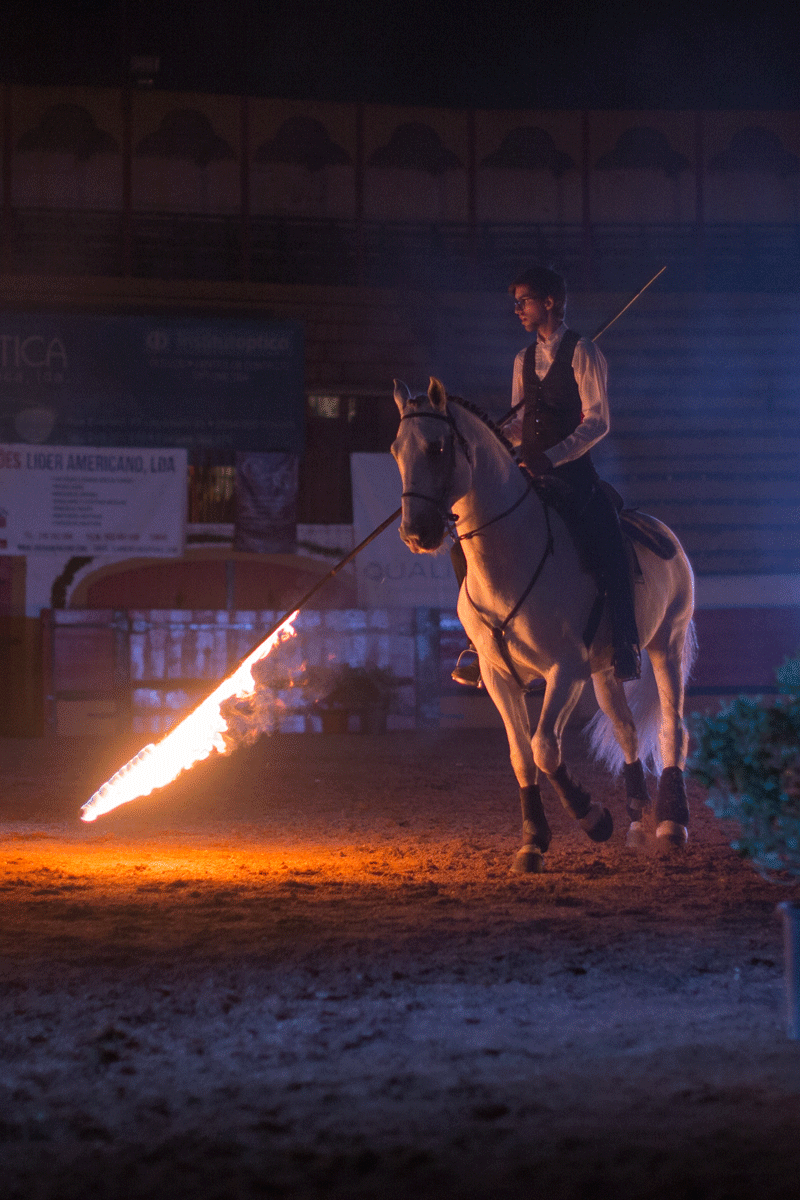 Escola Equestre Vitor Rodrigues