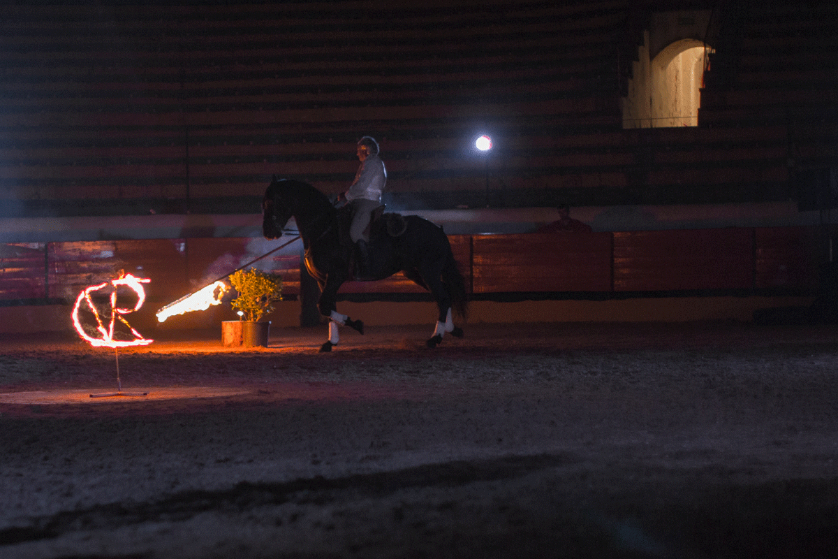 Escola Equestre Vitor Rodrigues