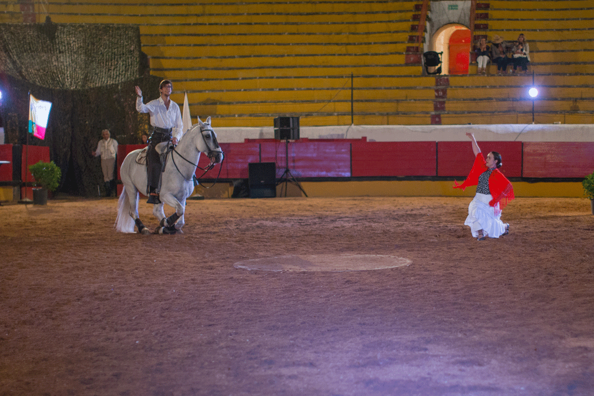Escola Equestre Vitor Rodrigues