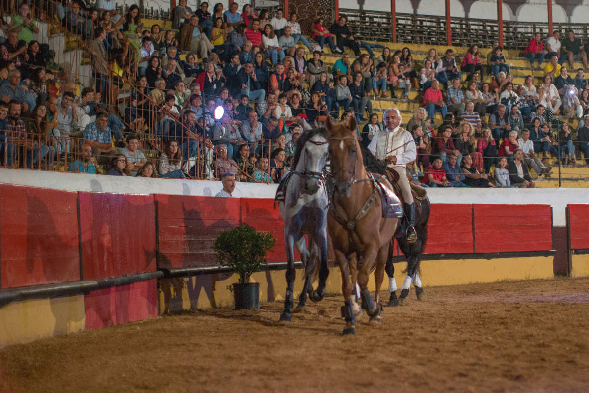 Escola Equestre Vitor Rodrigues