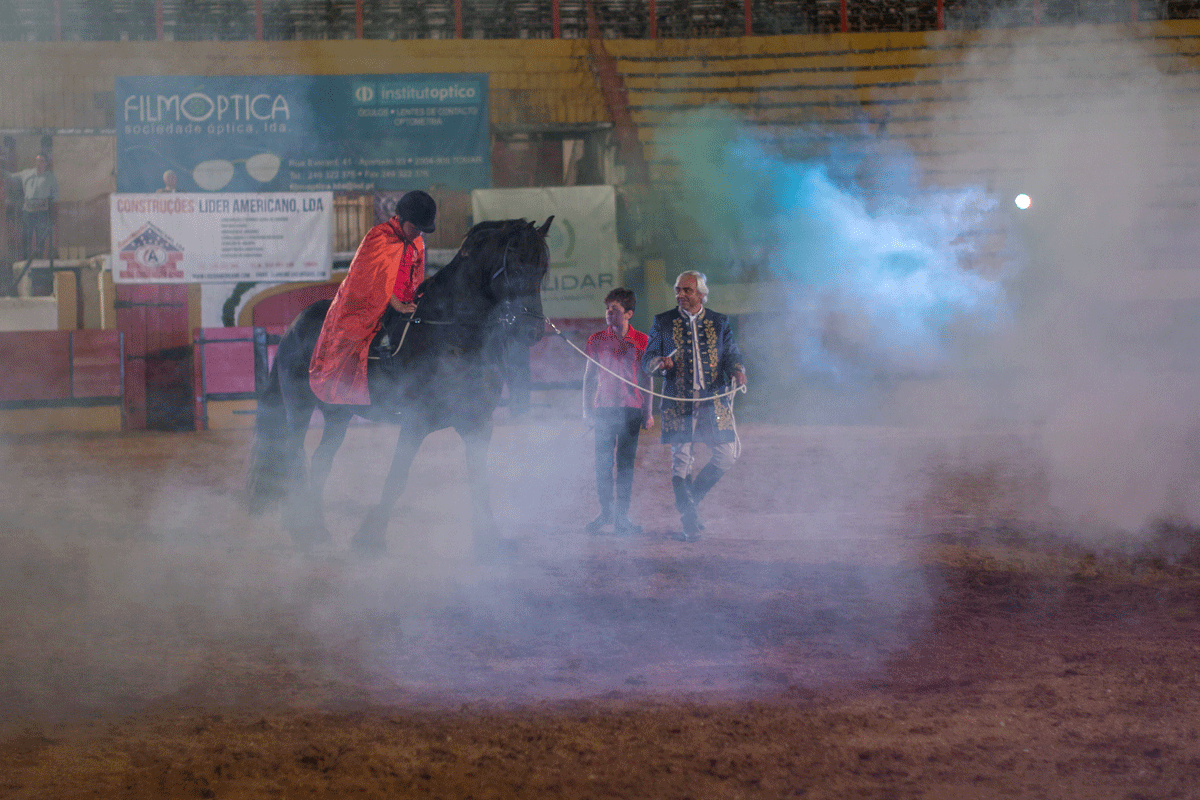 Escola Equestre Vitor Rodrigues