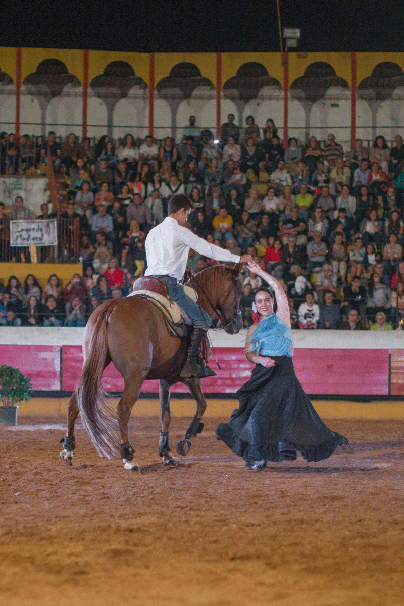 Escola Equestre Vitor Rodrigues