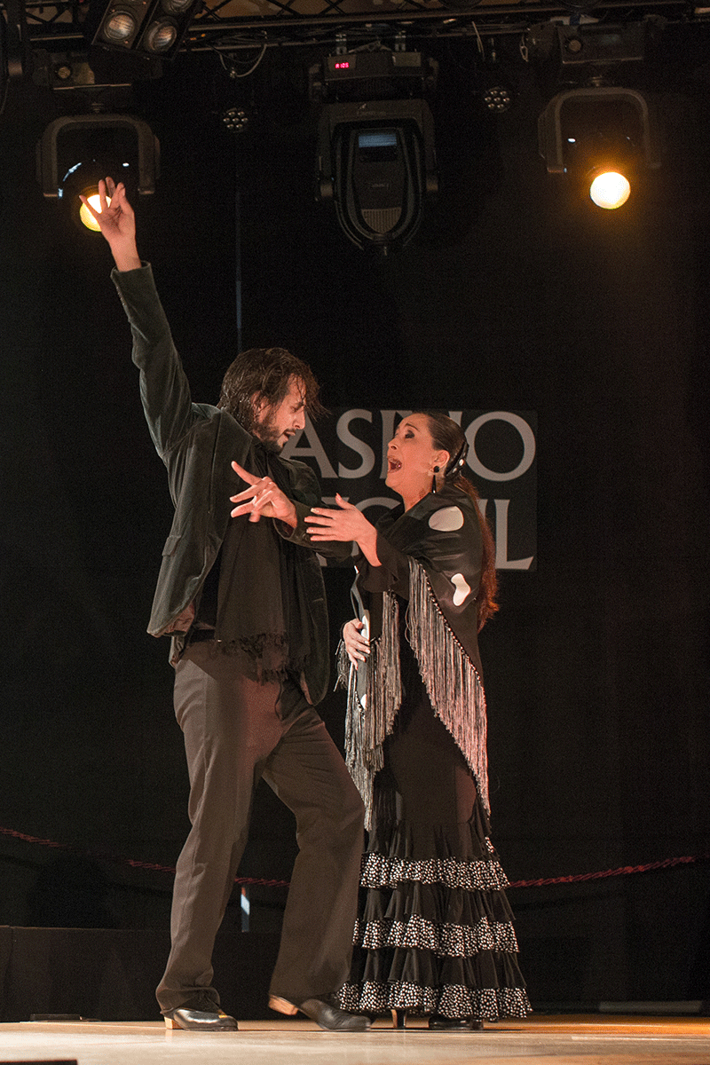 ciclo de Baile Flamenco