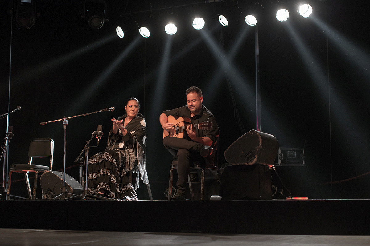 ciclo de Baile Flamenco