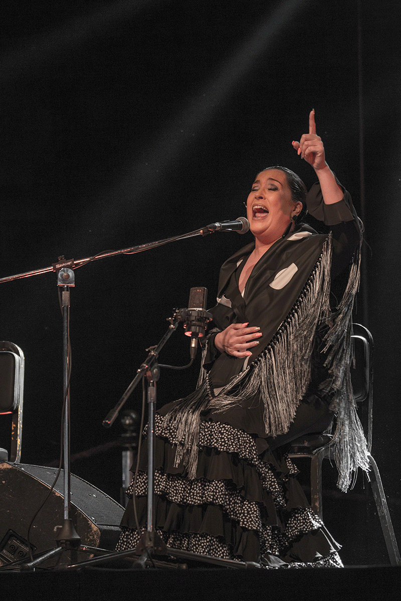 ciclo de Baile Flamenco