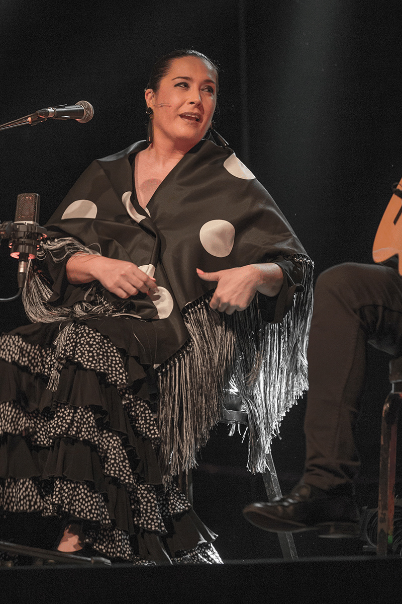 ciclo de Baile Flamenco