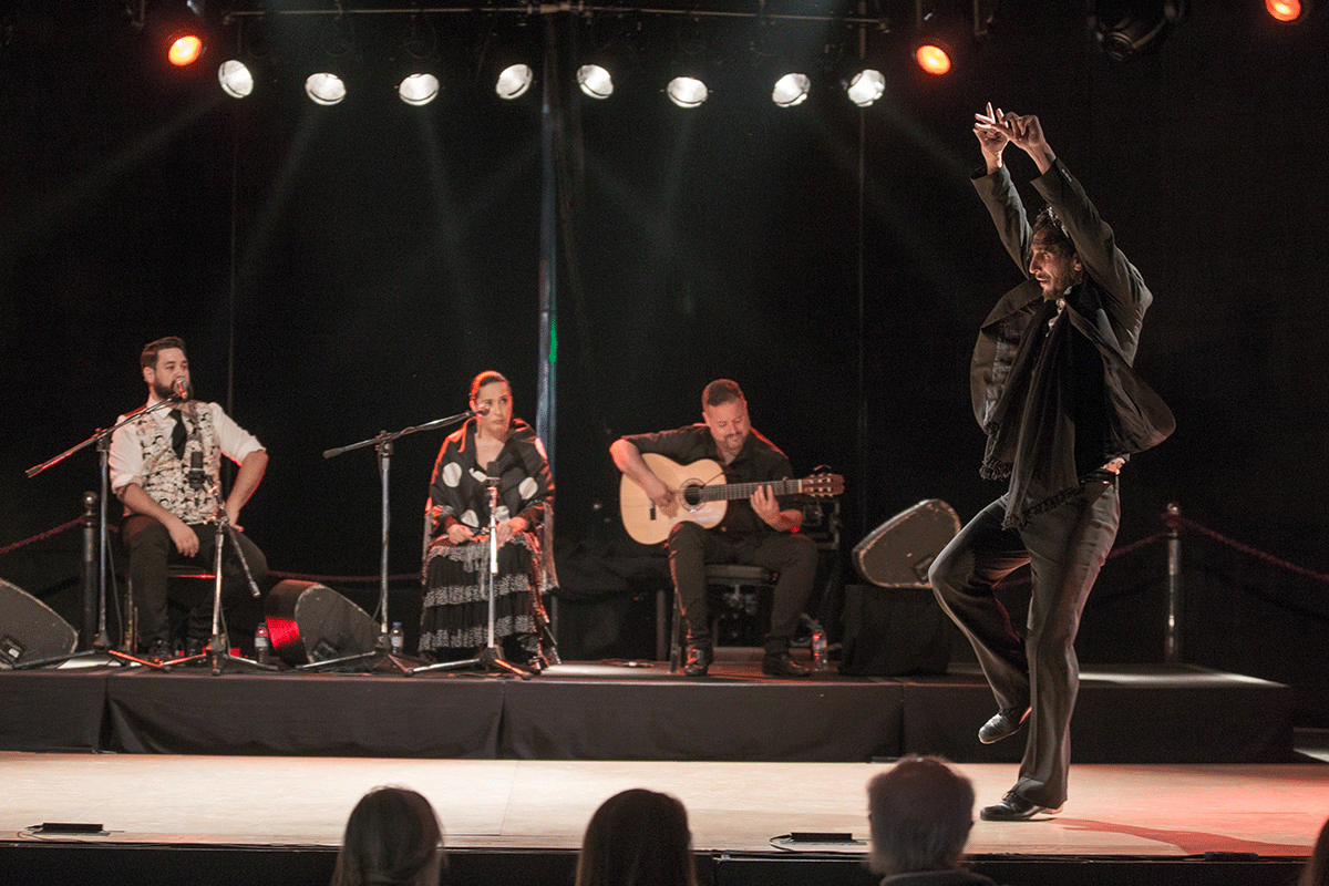 ciclo de Baile Flamenco