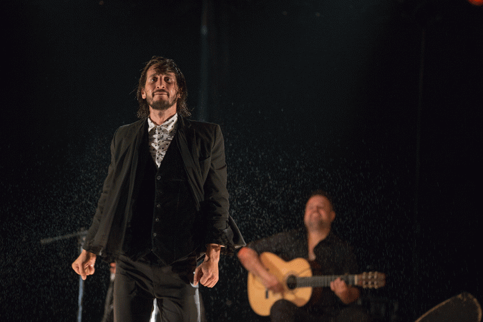 ciclo de Baile Flamenco