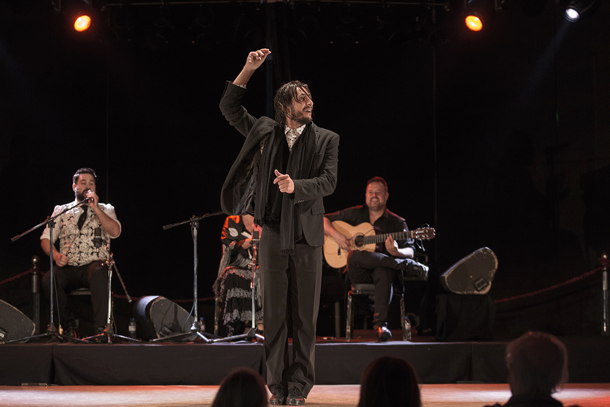 ciclo de Baile Flamenco