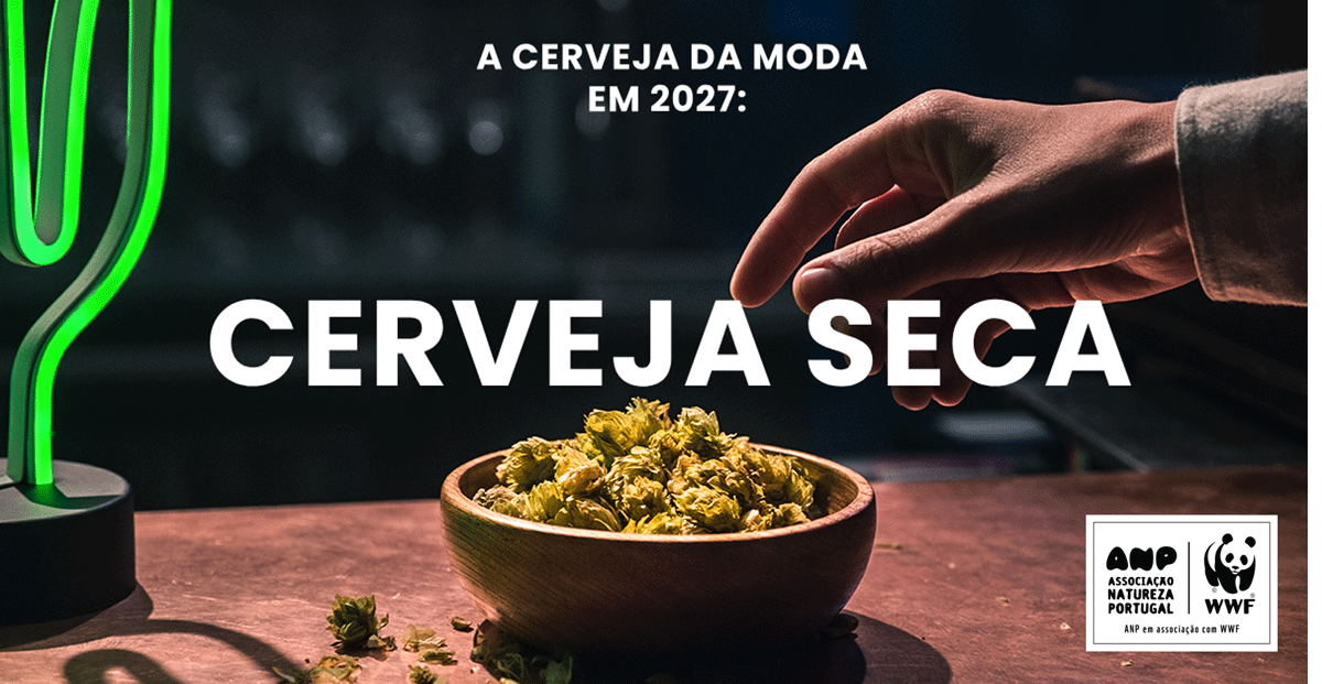 Lei da Água da União Europeia