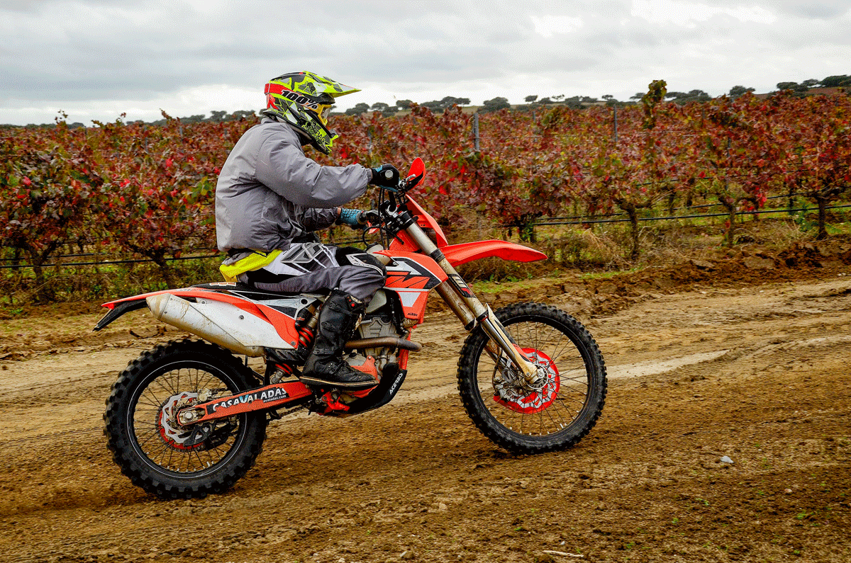 SAR Motorismo