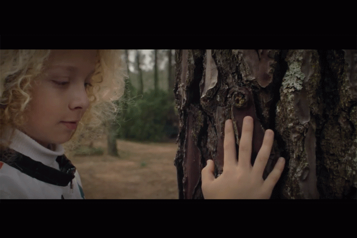 Nissan-LEAF4Trees ART&TUR