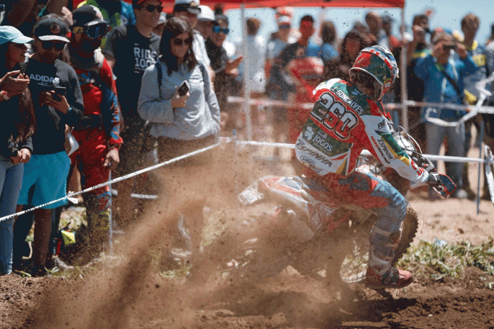 Federação Motociclismo Portugal