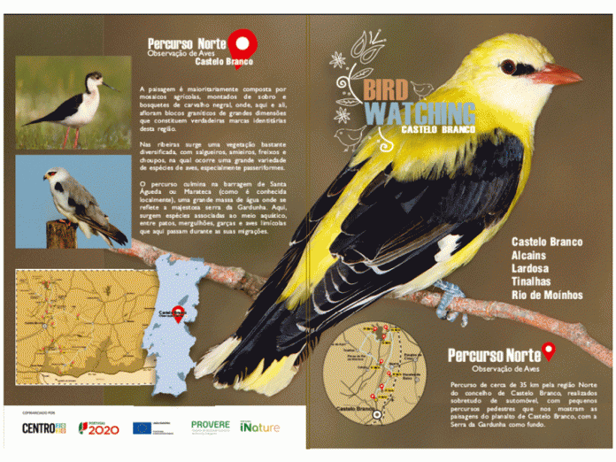 Birdwatching Castelo Branco