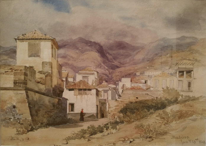 MUSEU QUINTA DAS CRUZES