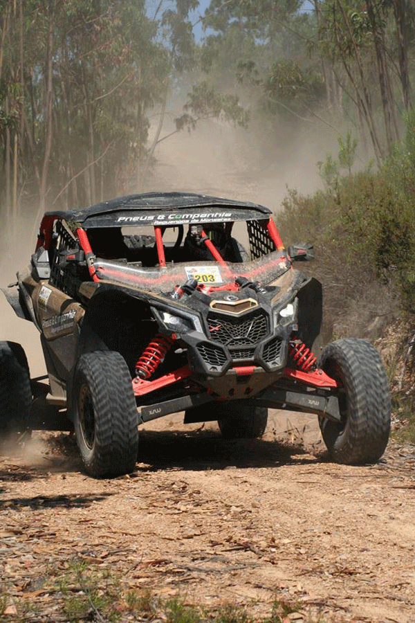 Rally Raid Sharish Gin/Pneus e Companhia