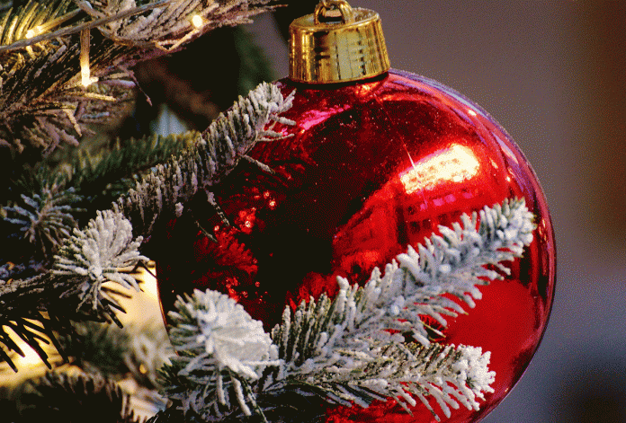 tree-branch-decoration-red-holiday-christmas-1056812-pxhere Vinhos