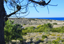 PERCURSO PEDESTRE DA LAGOA DA SANCHA INAUGURADO Sines