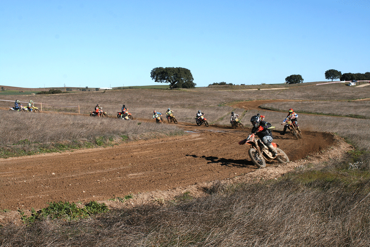 Circuito Cego