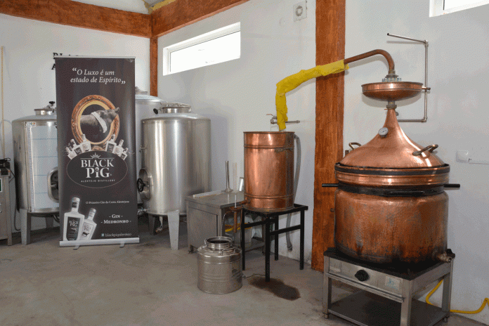 Gin Black Pig