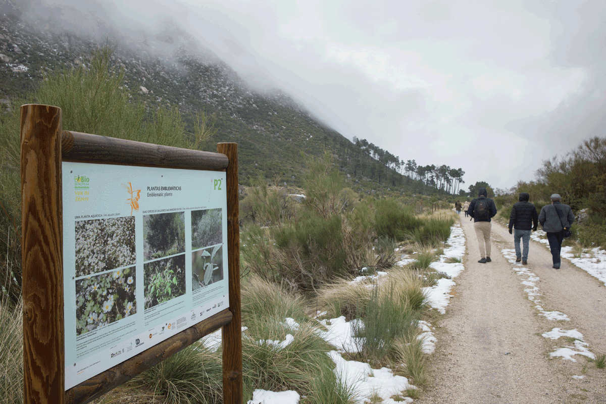 Serra da Estrela
