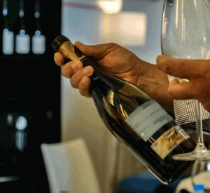Vinhos do Dão