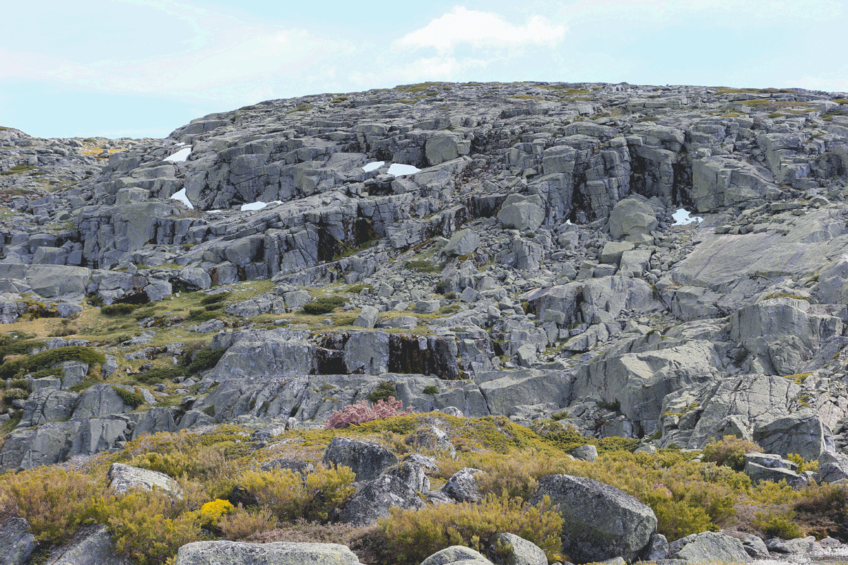 Trilhos da Serra da Estrela