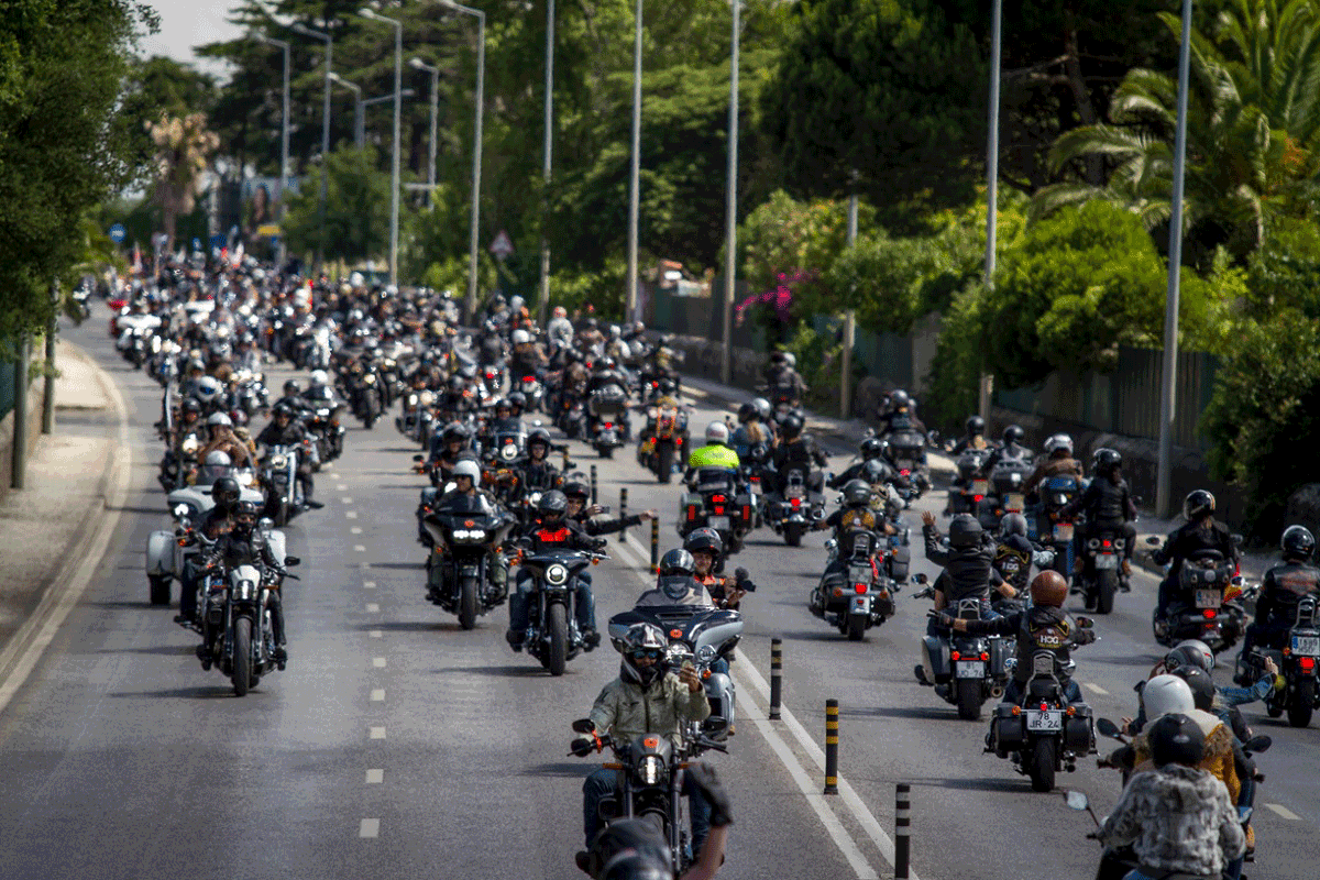 Harley Davidson