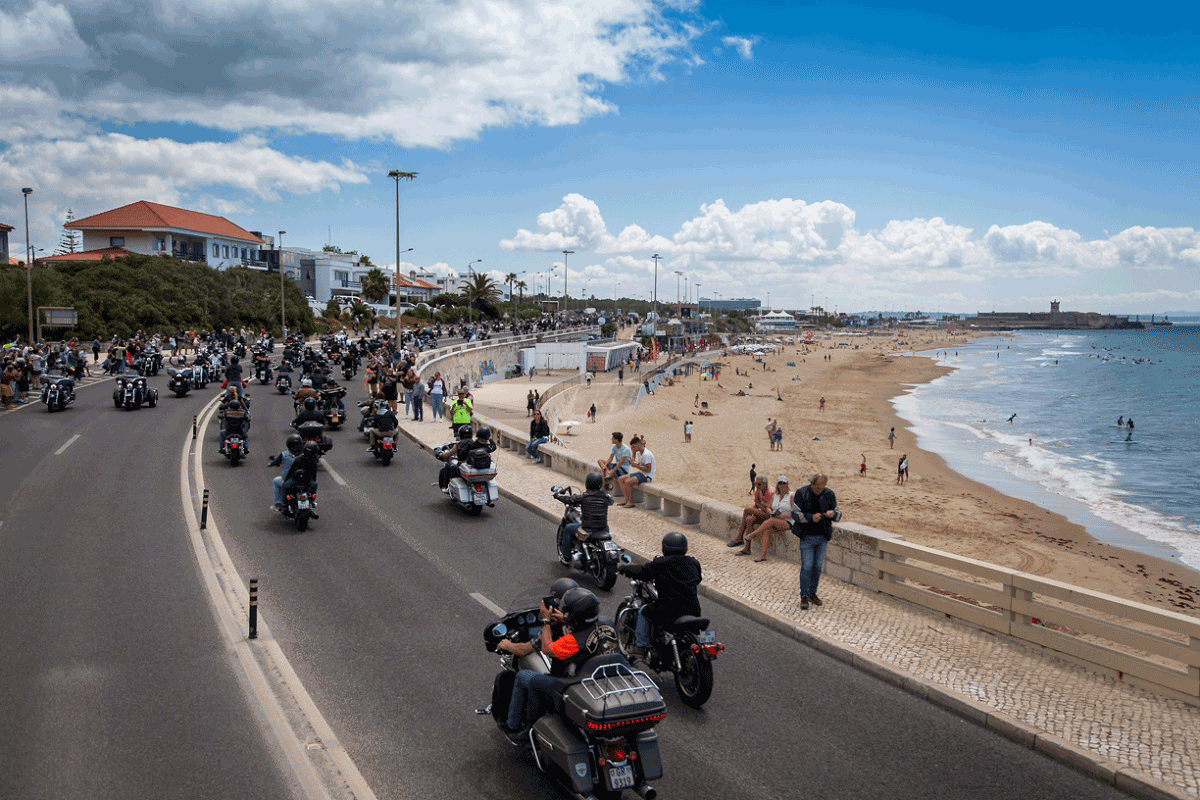 Harley Davidson