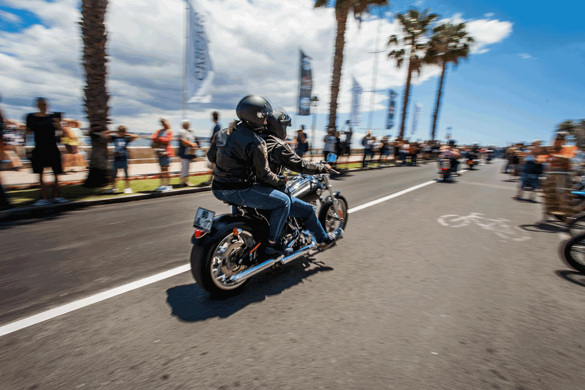 Harley Davidson