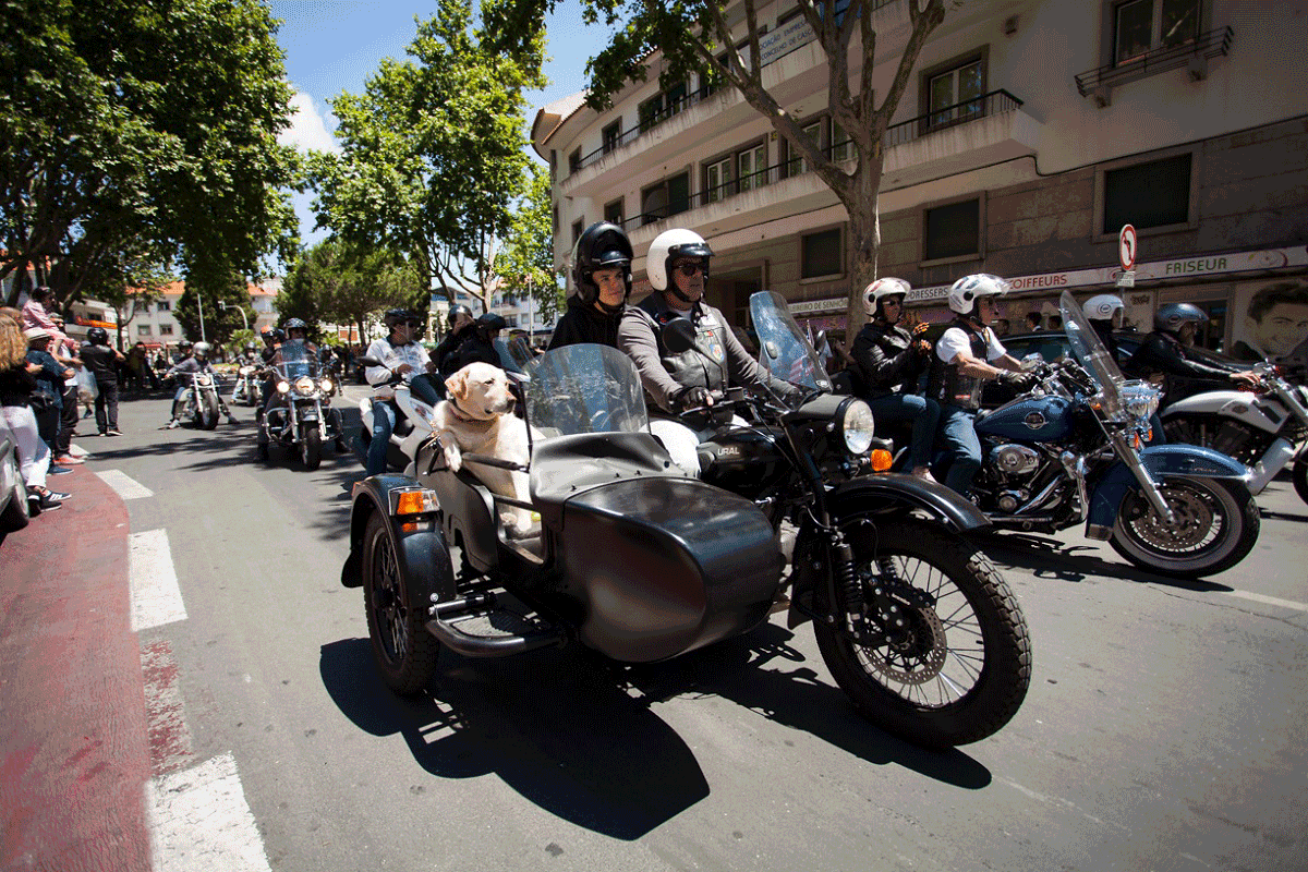Harley Davidson
