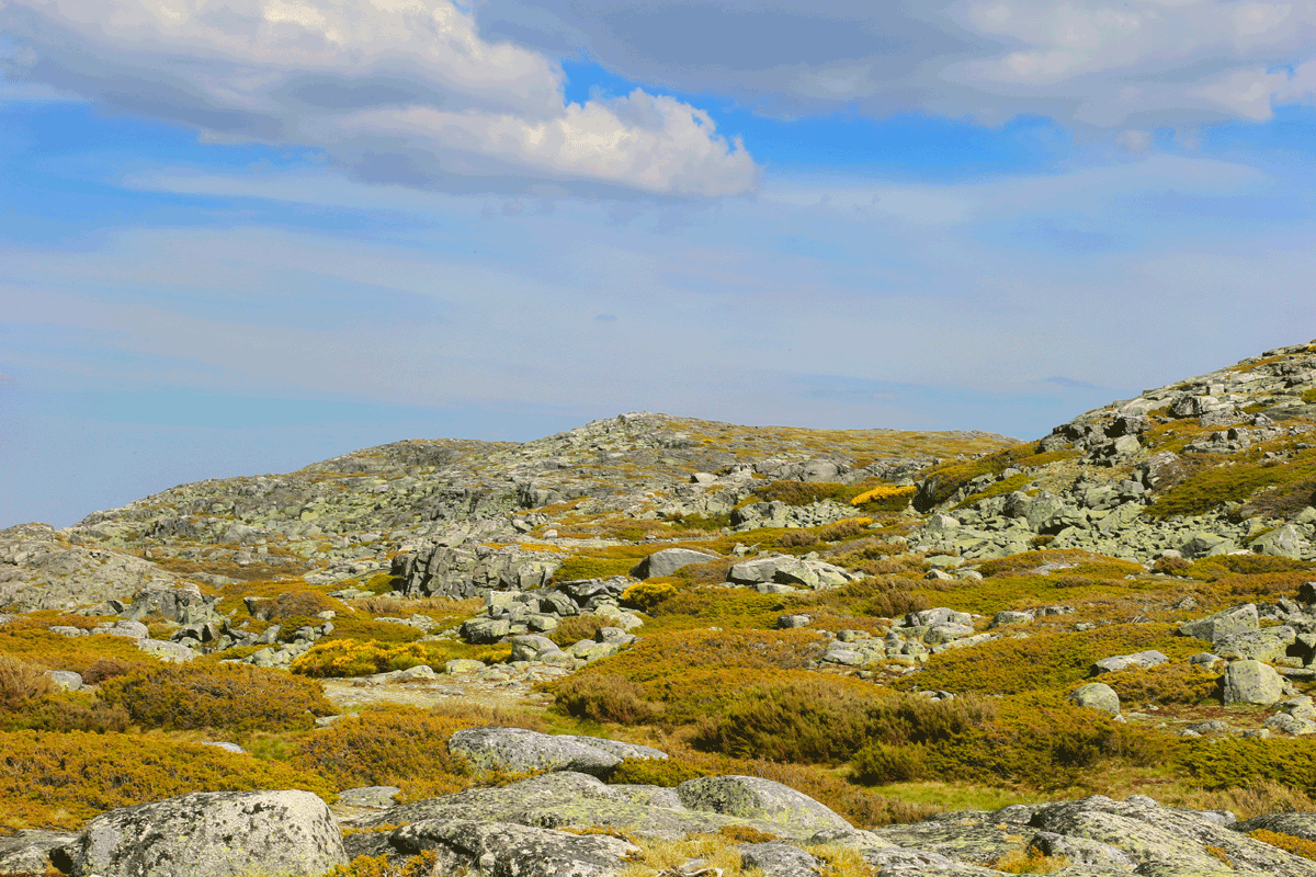 Trilhos da Serra da Estrela
