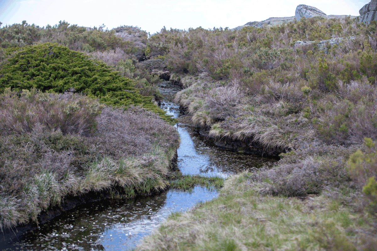 Trilhos da Serra da Estrela