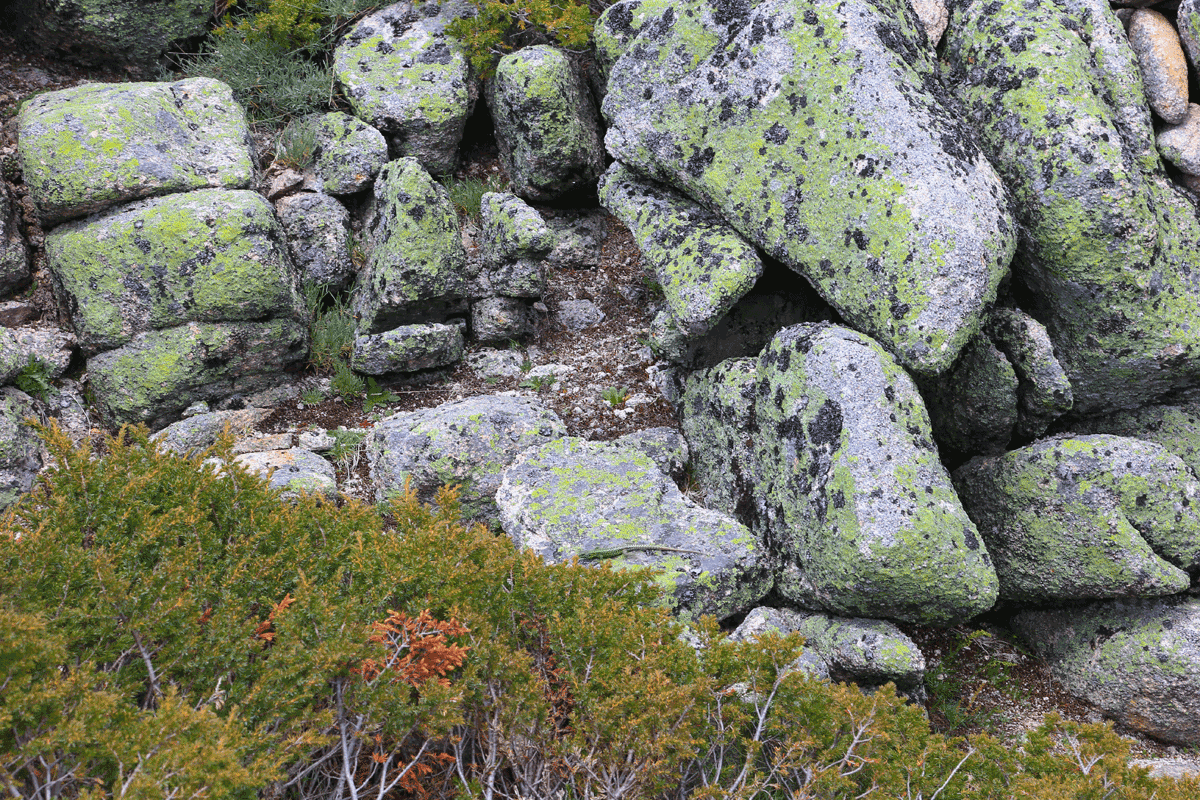 Trilhos da Serra da Estrela