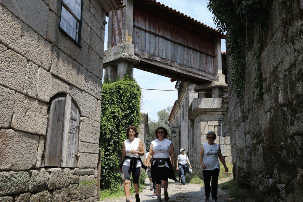 Ribeira de Pena